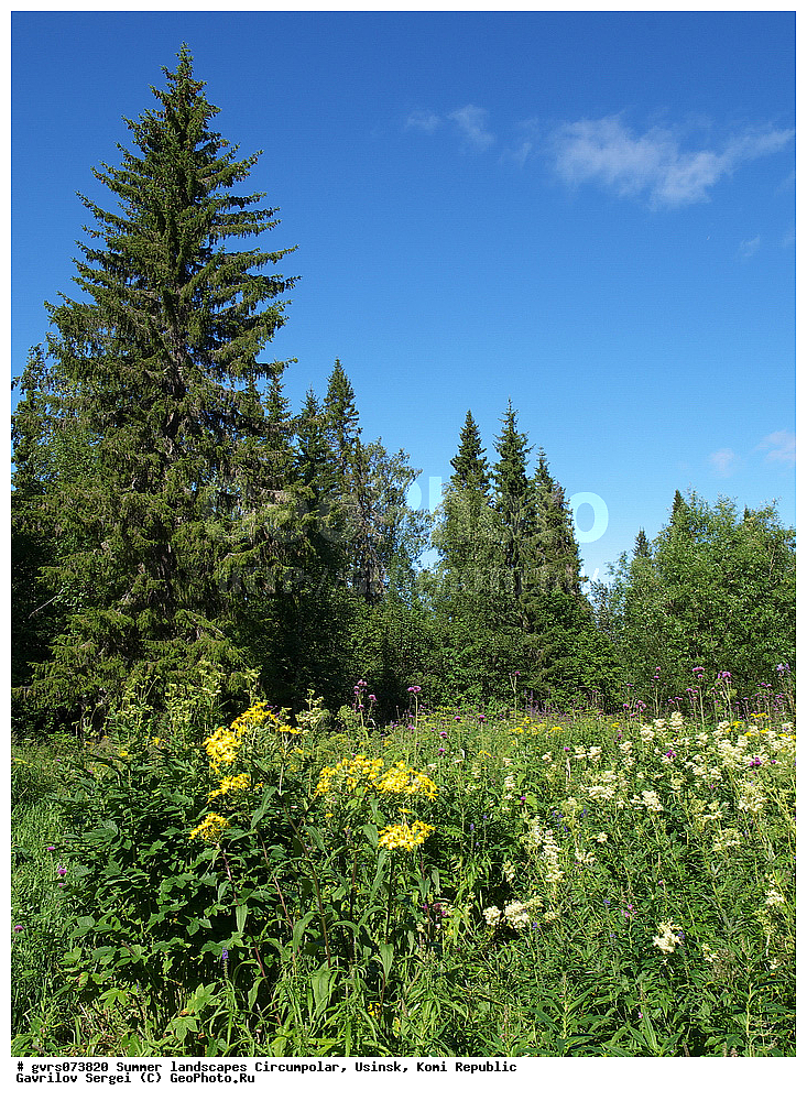 ����, ������, ����������, ������, ����