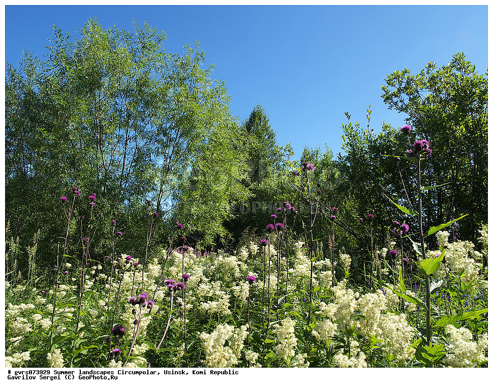 ����, ������, ����������, ������, ����