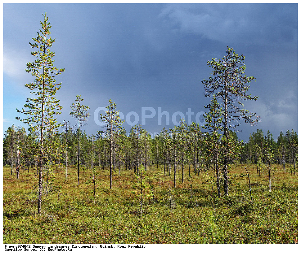 ����, ������, ����������, ������, ����