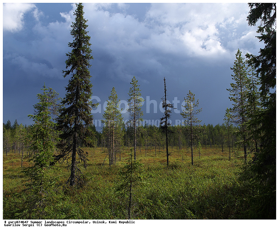 ����, ������, ����������, ������, ����