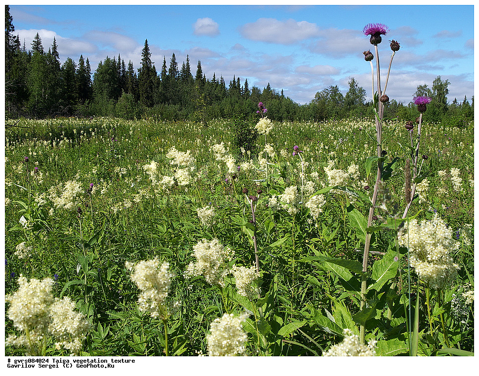 �����, ��������������, �����, ��������, �������