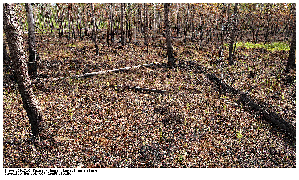 �����, �����������, ��� ����������