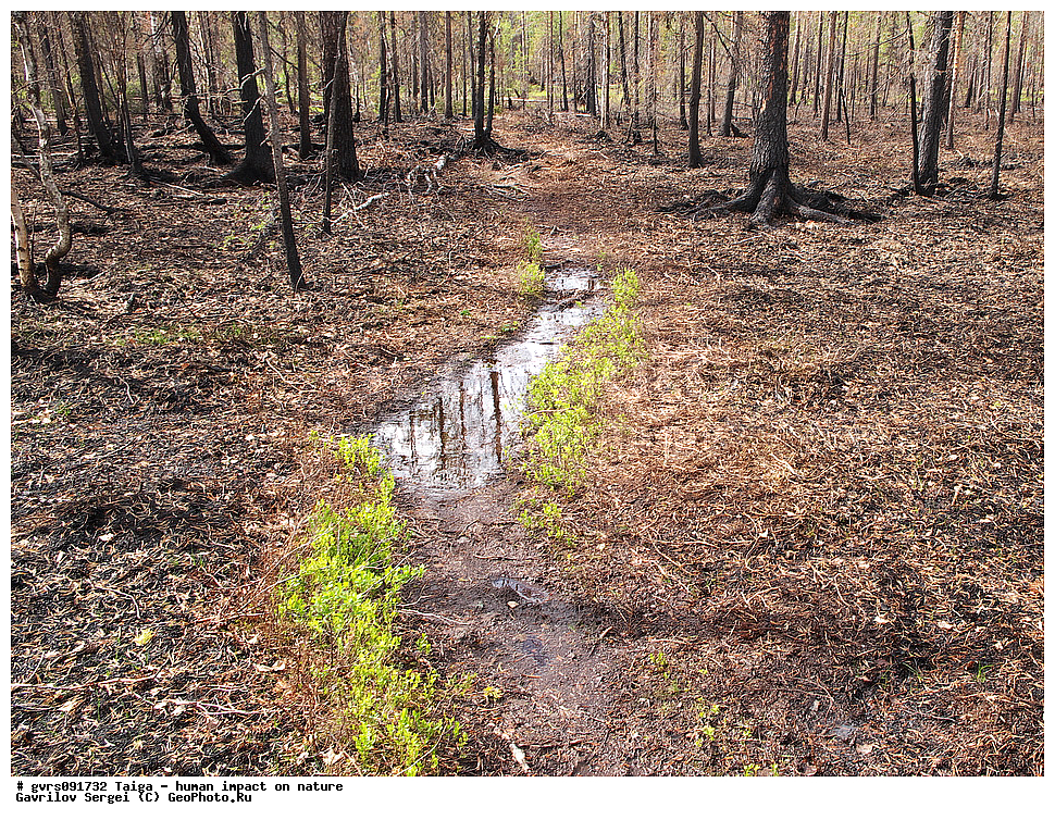 �����, �����������, ��� ����������