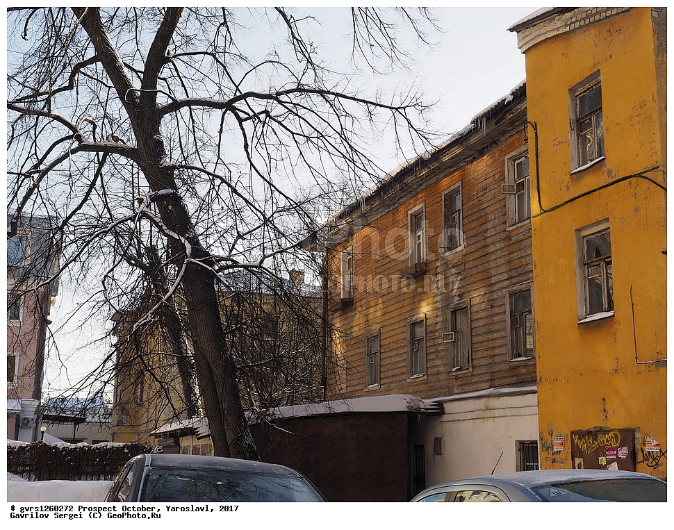 �������� �������, ���������, 2017