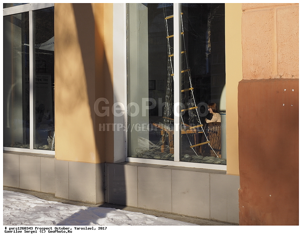 �������� �������, ���������, 2017