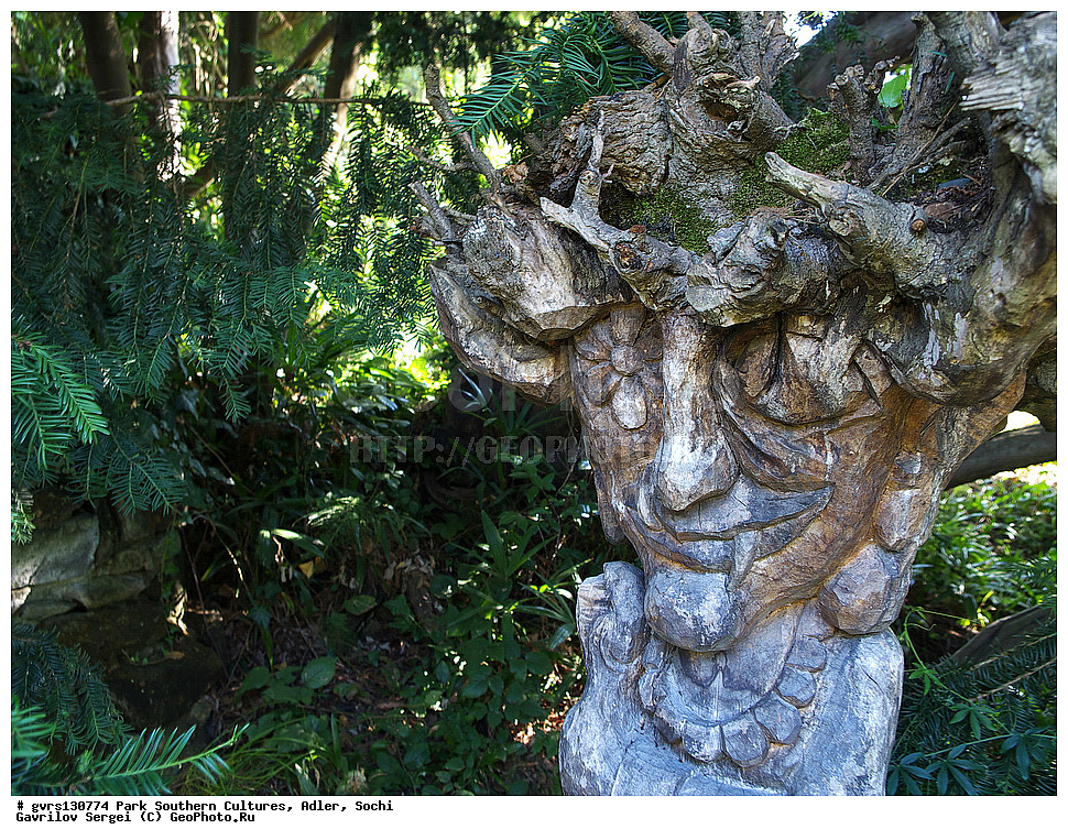 ����, ����� ��������, �������, �����, ����