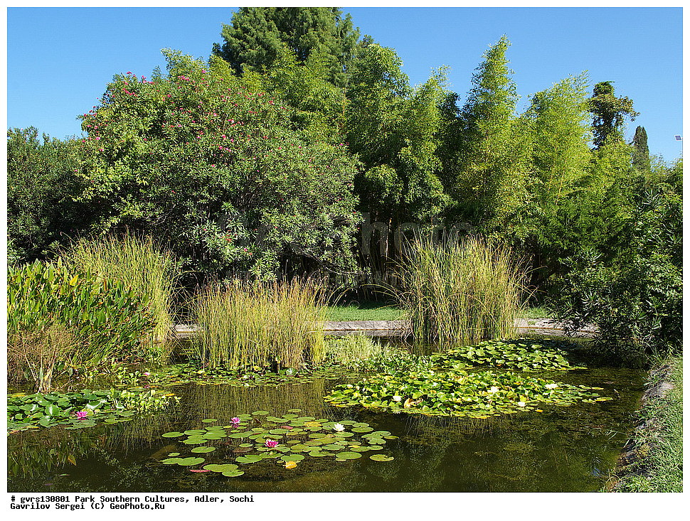 ����, ����� ��������, �������, �����, ����