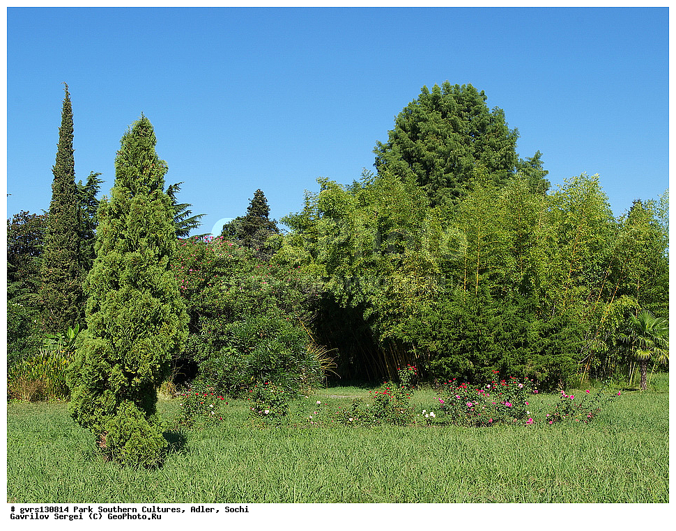 ����, ����� ��������, �������, �����, ����