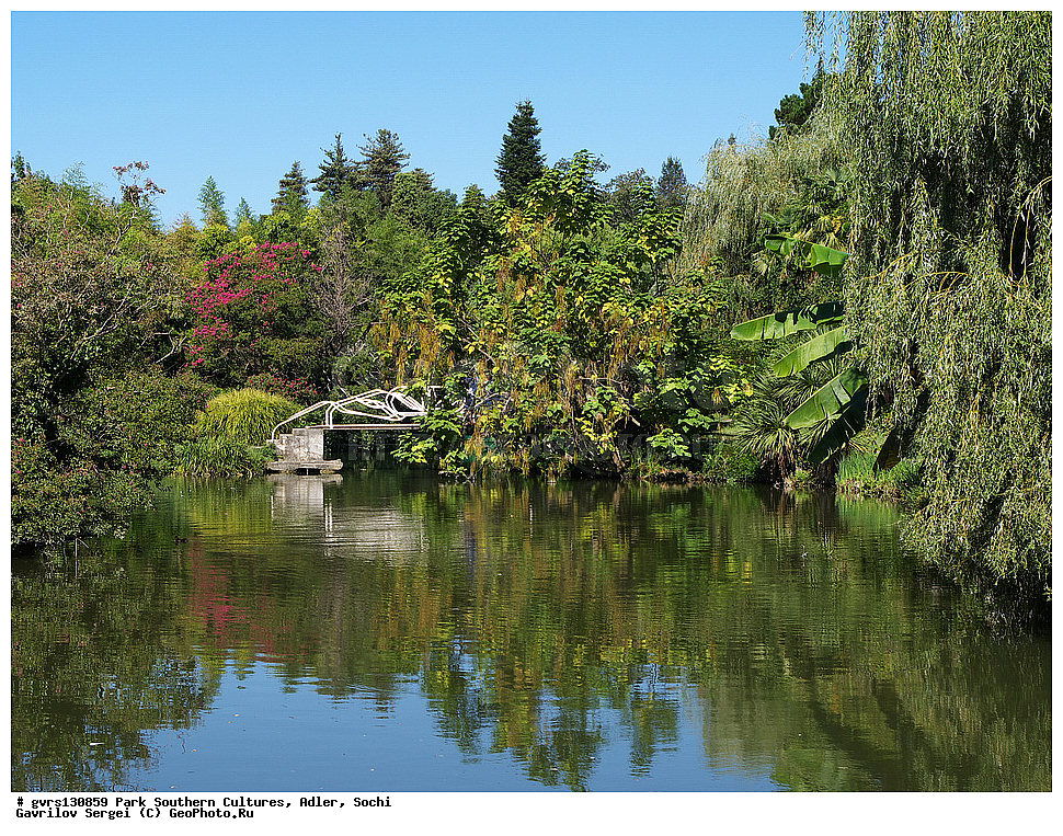 ����, ����� ��������, �������, �����, ����