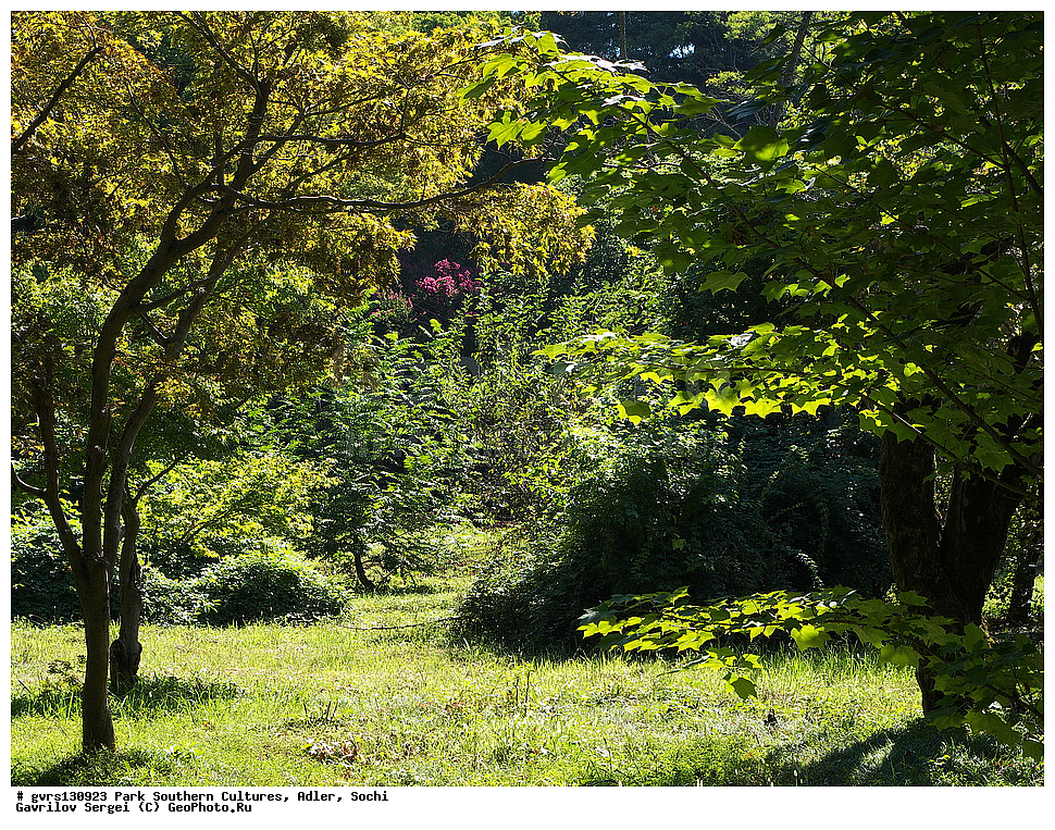 ����, ����� ��������, �������, �����, ����