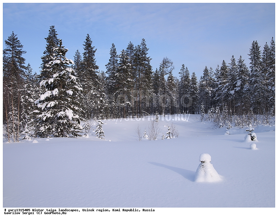  ������, �������� �����, ������, ���������� ����, �����, ����