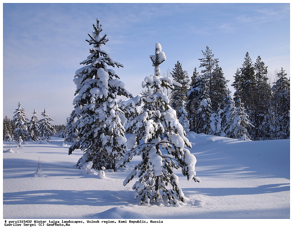  ������, �������� �����, ������, ���������� ����, �����, ����