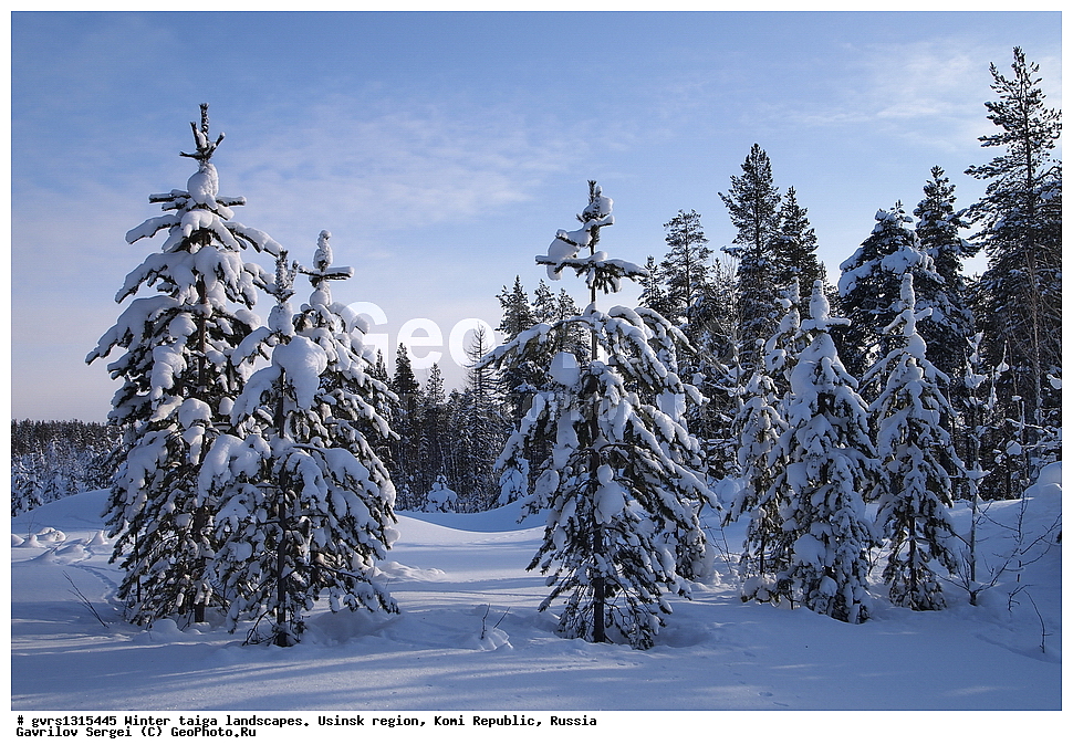  ������, �������� �����, ������, ���������� ����, �����, ����