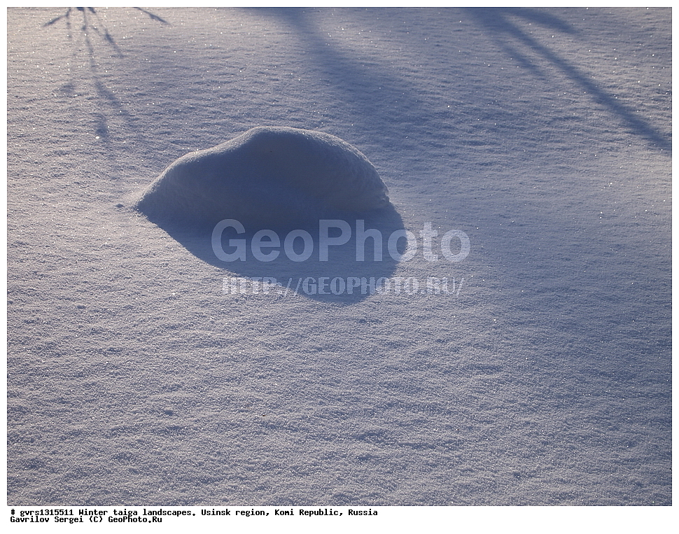  ������, �������� �����, ������, ���������� ����, �����, ����