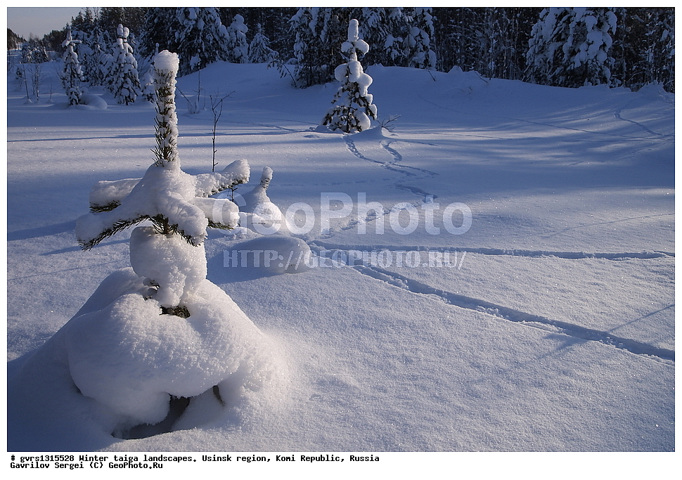  ������, �������� �����, ������, ���������� ����, �����, ����