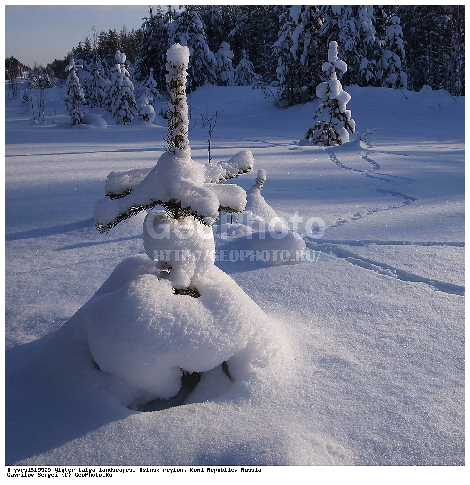  ������, �������� �����, ������, ���������� ����, �����, ����