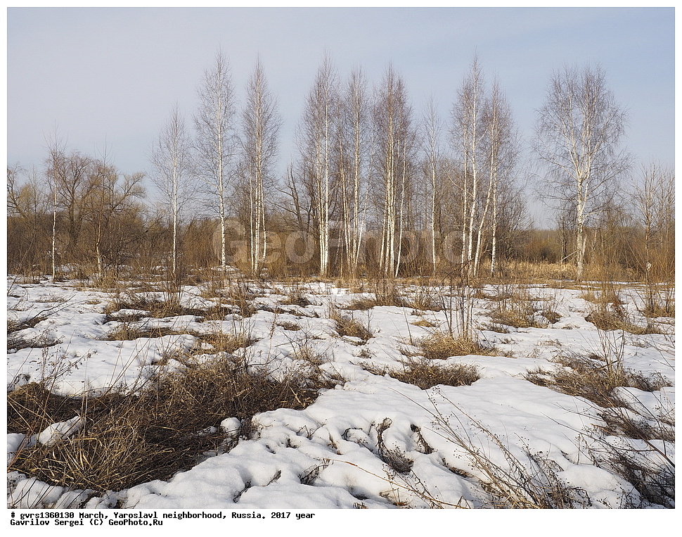 ����, �����, ���������, �����������, ������, 2017 ���, �������