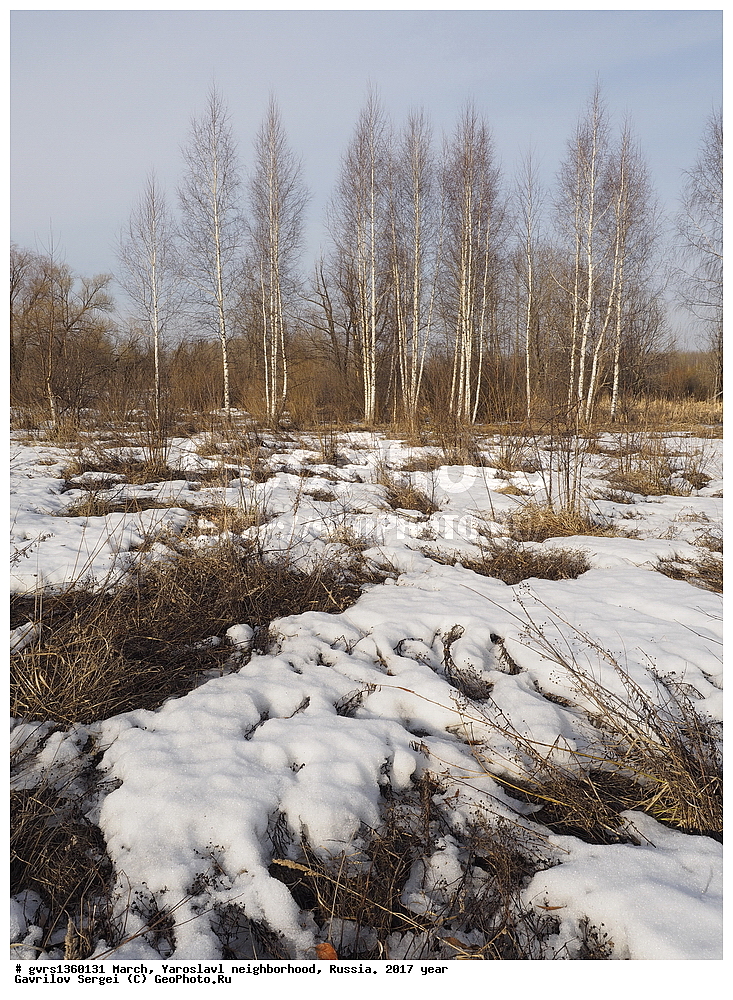 ����, �����, ���������, �����������, ������, 2017 ���, �������