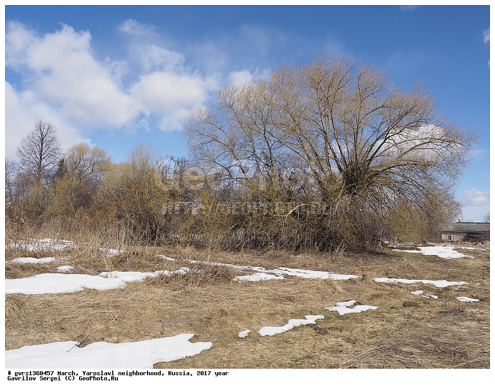 ����, �����, ���������, �����������, ������, 2017 ���, �������