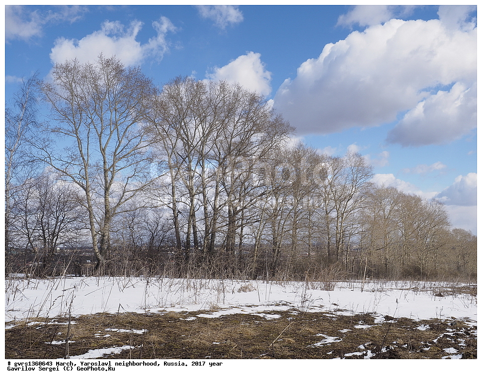 ����, �����, ���������, �����������, ������, 2017 ���, �������