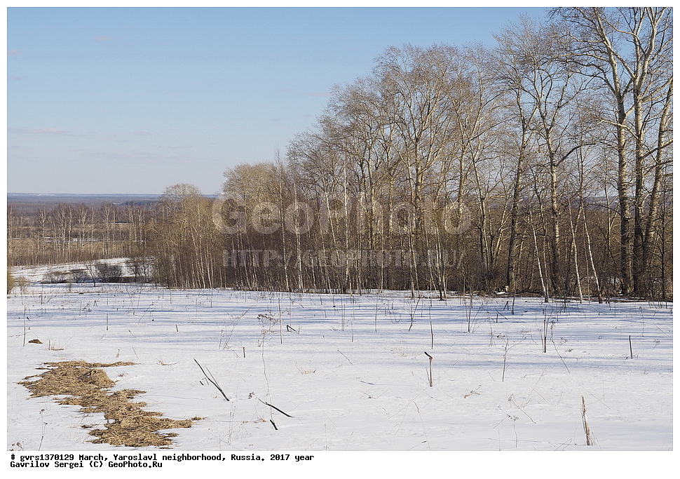 ����, �����, ���������, �����������, ������, 2017 ���, �������