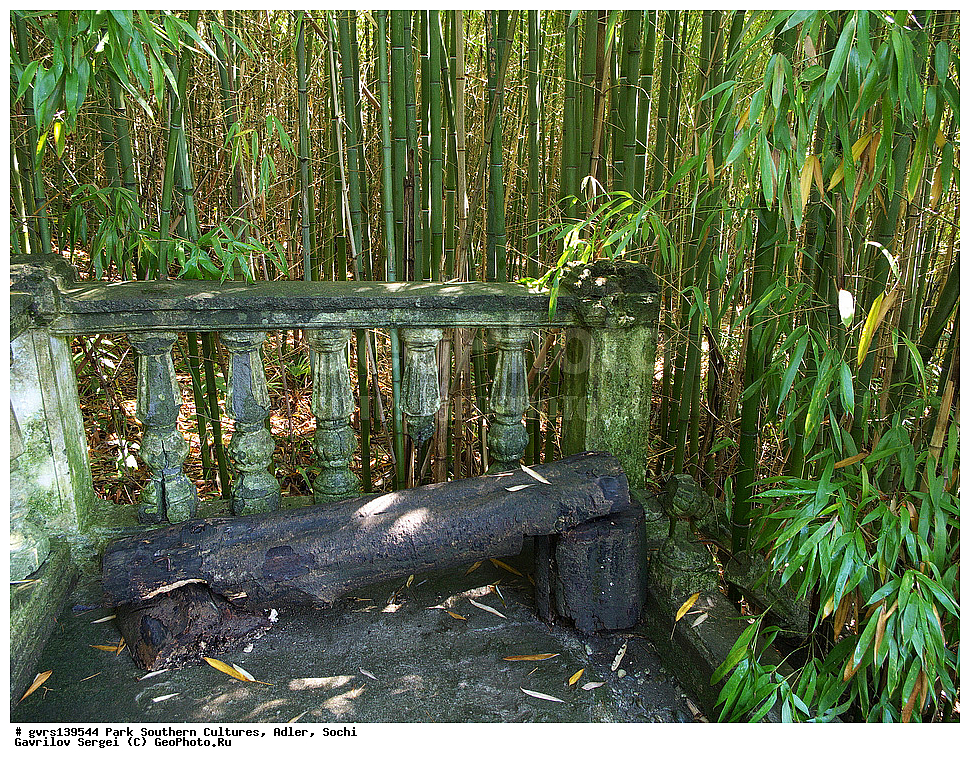 ����, ����� ��������, �������, �����, ����