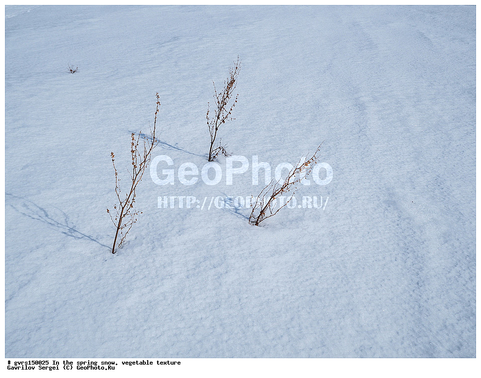 �����, ����, �������, ��������, ��������, ��������������