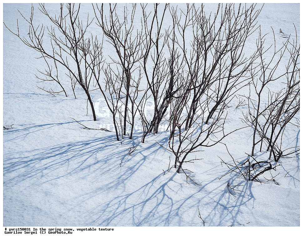 �����, ����, �������, ��������, ��������, ��������������