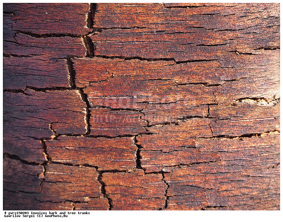 �������, ��������, ����, �����, ������