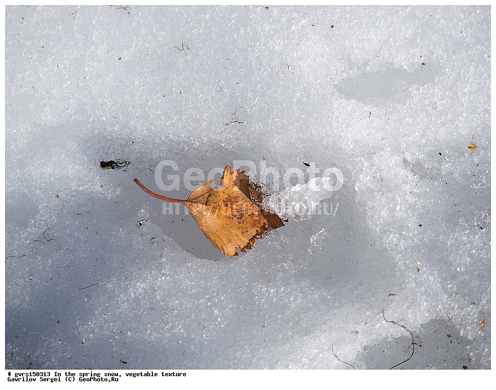 �����, ����, �������, ��������, ��������, ��������������