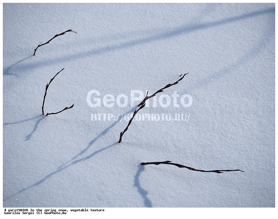 �����, ����, �������, ��������, ��������, ��������������