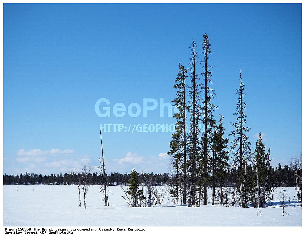 ������, �����, �����, ����������, ������, ����, ����