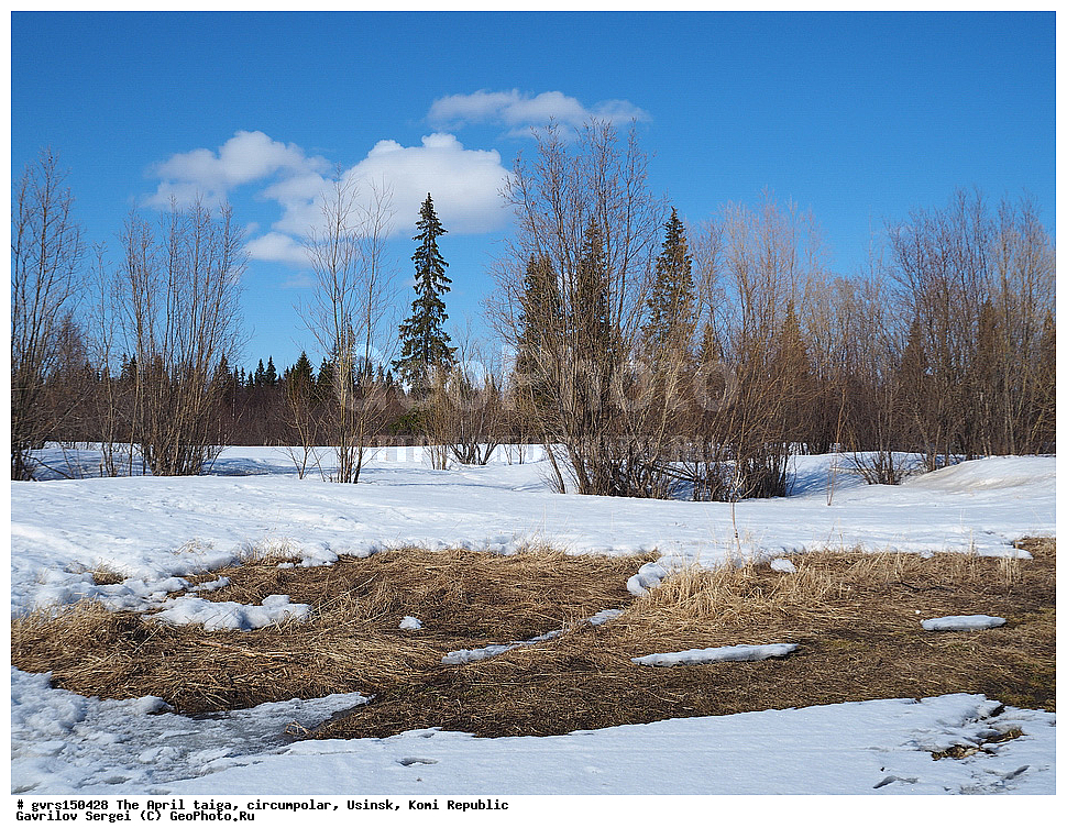 ������, �����, �����, ����������, ������, ����, ����