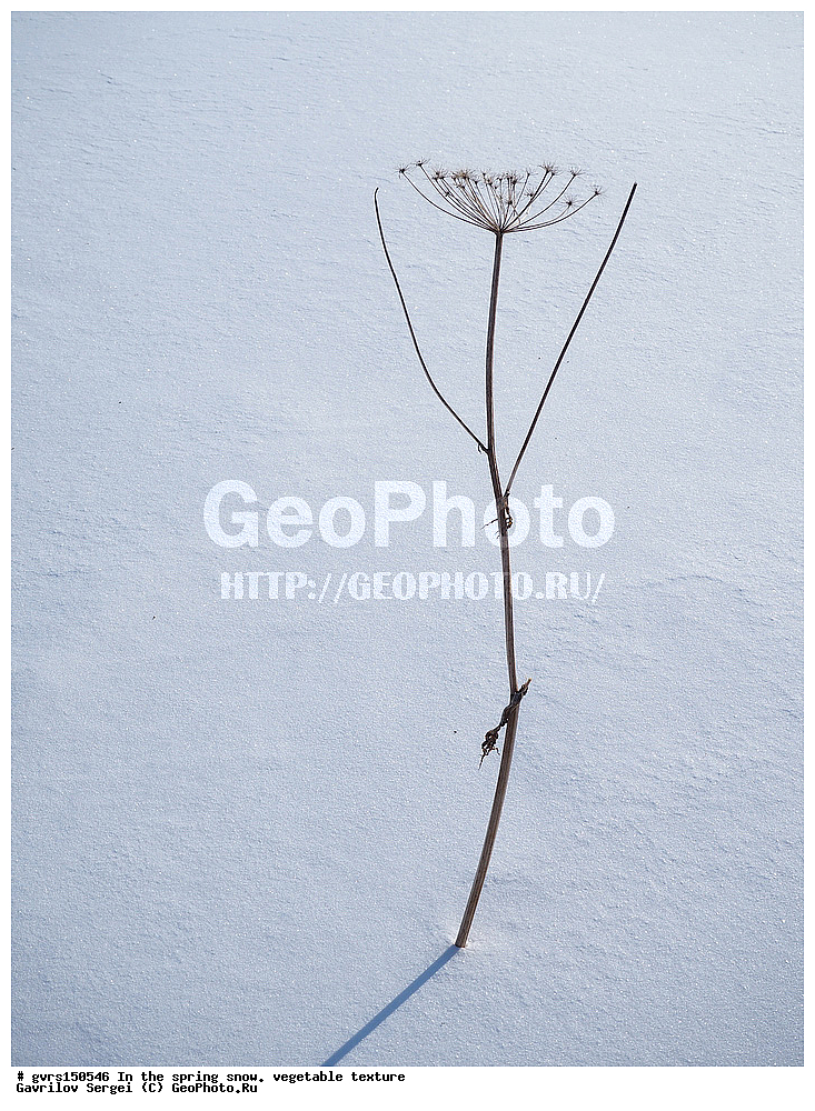 �����, ����, �������, ��������, ��������, ��������������