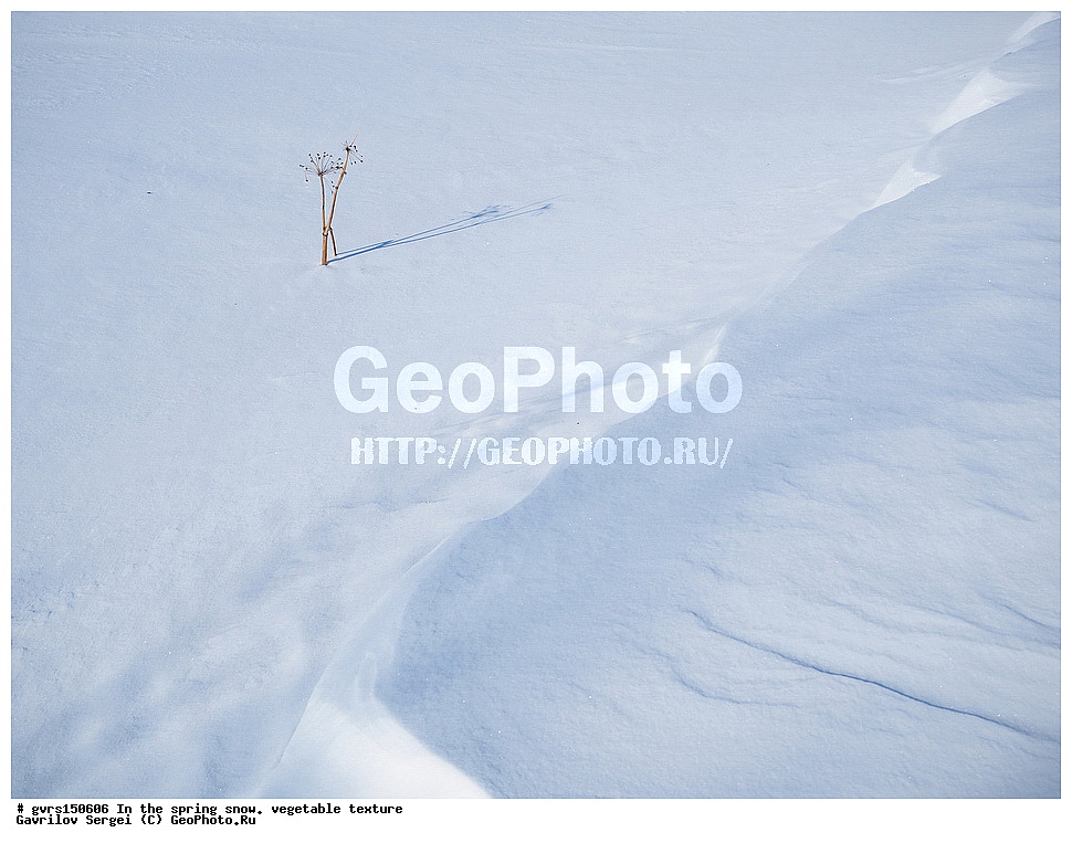 �����, ����, �������, ��������, ��������, ��������������