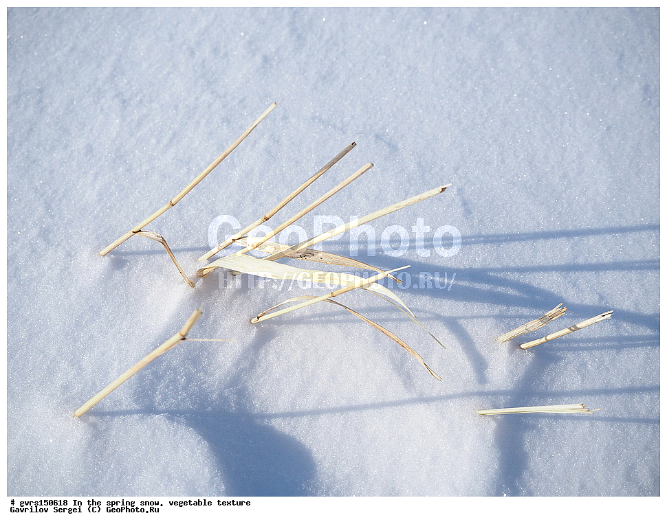 �����, ����, �������, ��������, ��������, ��������������