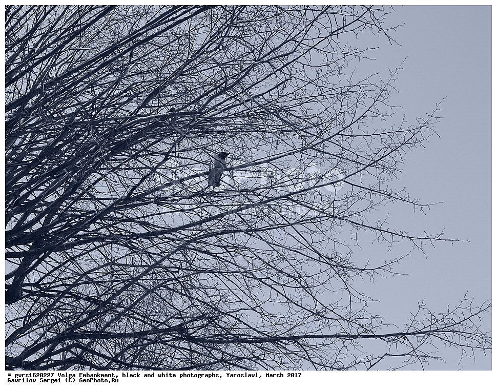 �������� ����������, �����-�����, ��, ���������, ����, ����