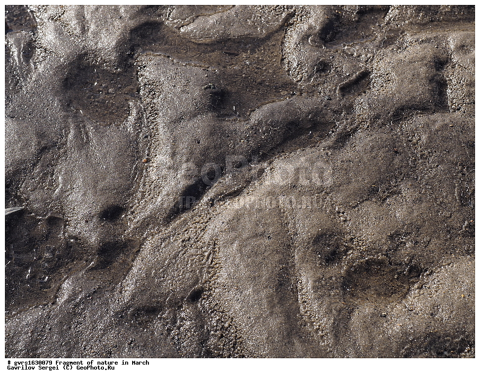 ��������, �������, ����