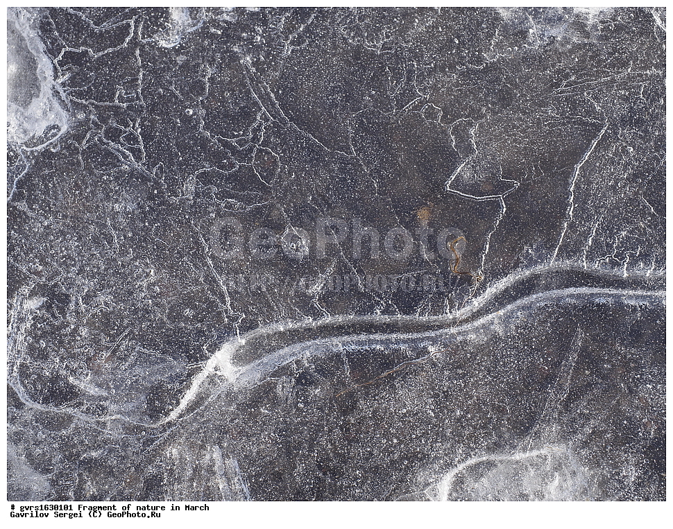 ��������, �������, ����