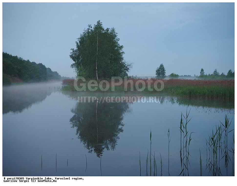 ���������� ����, �����, ����������� �������, ������, ����.