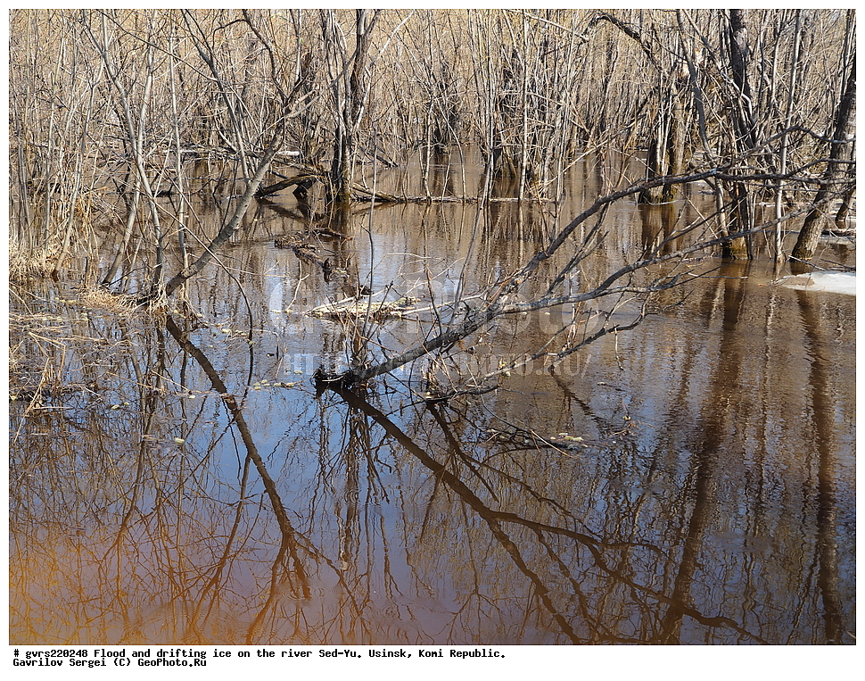 ������, �������, �����, ���-�, ������, ����, ���������� ����, ������, �����, ������