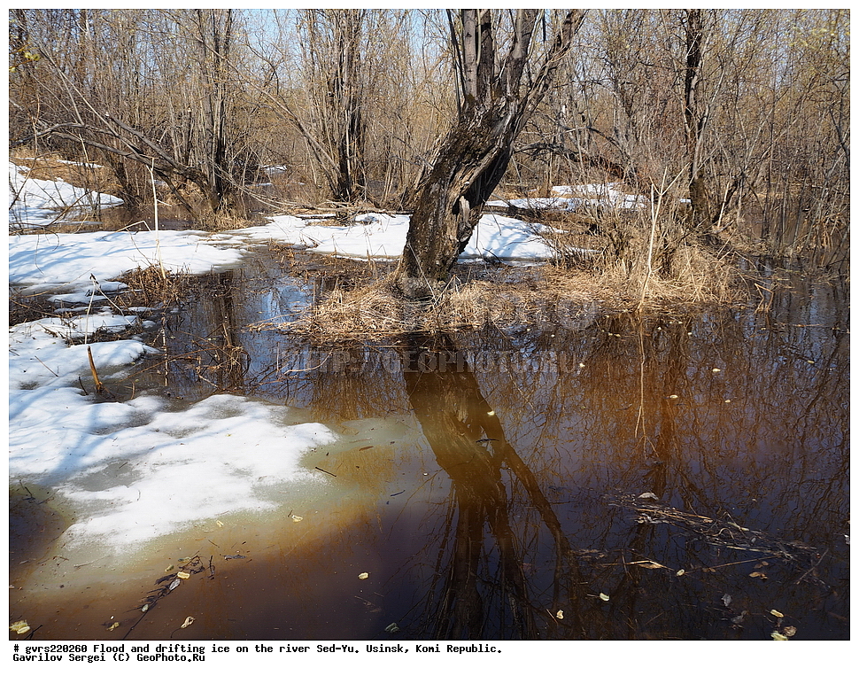 ������, �������, �����, ���-�, ������, ����, ���������� ����, ������, �����, ������