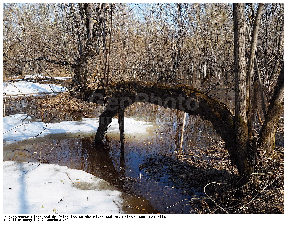 ������, �������, �����, ���-�, ������, ����, ���������� ����, ������, �����, ������