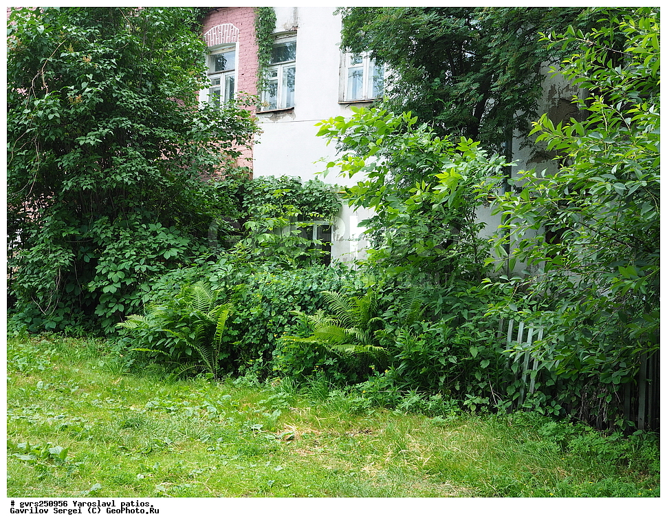 ������, ���������, �������, ����, �����������