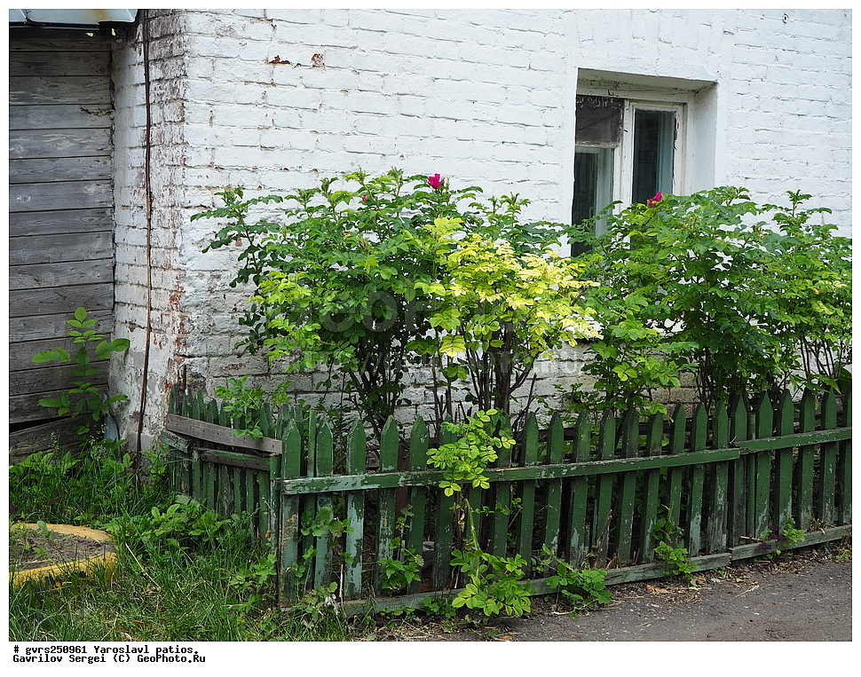 ������, ���������, �������, ����, �����������