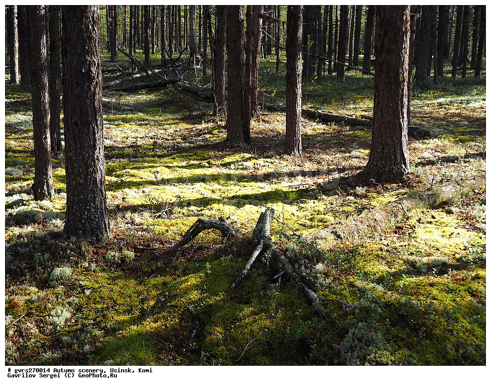 �����, ������, ������, ����, ���������� ����, ������