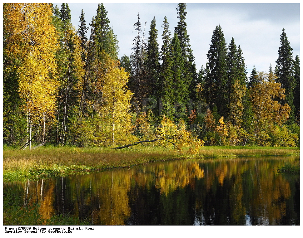 �����, ������, ������, ����, ���������� ����, ������