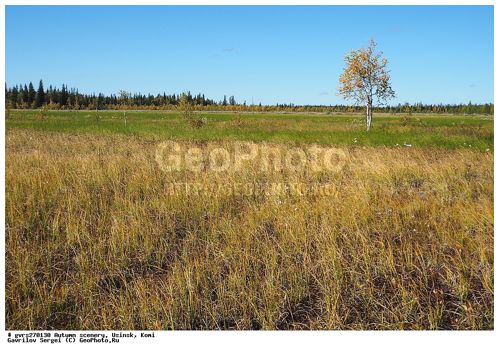 �����, ������, ������, ����, ���������� ����, ������