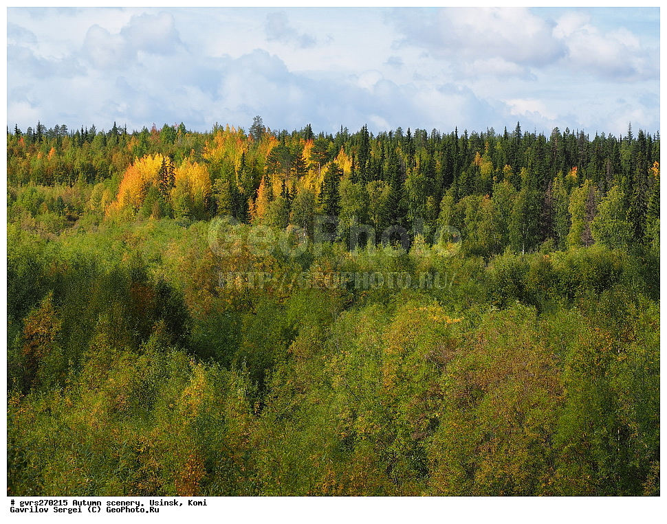 �����, ������, ������, ����, ���������� ����, ������