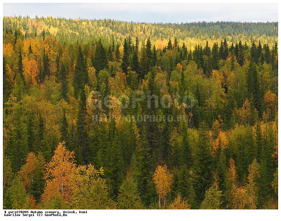 �����, ������, ������, ����, ���������� ����, ������